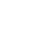 wordpress-development